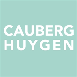 Cauberg-Huygen Raadgevende Ingenieurs Bv