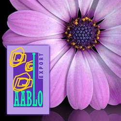 Aablo Export BV