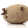 Agrico
