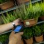 AlfaPro planten software