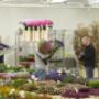 AlfaPro Cash & Carry software