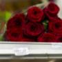 AlfaPro bloemen software