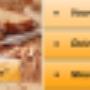 Baas Food Equipment