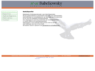 Babeliowsky Onderwijsonderzoek