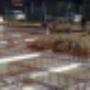 Balkfundering met prefabkist