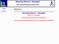 Barning Piano´s - Vleugels