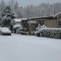 Jaarplaatsen winter