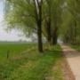 Gemeente Beuningen