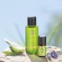Aromatherapie