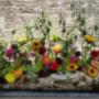 Afscheidsbloemen op kist
