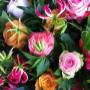 Bon Bon Fleur Bloemsierkunst