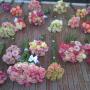 Bon Bon Fleur Bloemsierkunst
