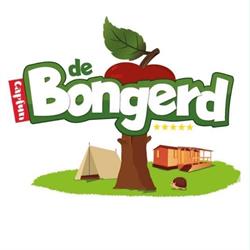 Vakantiepark Capfun - De Bongerd
