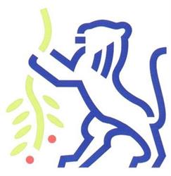 Gemeente Brummen