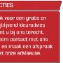 Buitink Schilders