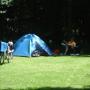 Camping Alkenhaer