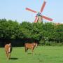 Camping Kloet