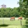 Camping Kloet