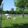 Camping Kloet