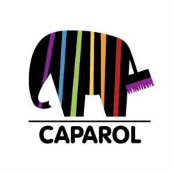 Caparol Nederland