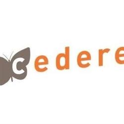 Cedere