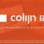 Software specialist in wonen