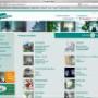Hartog Glas BV Den