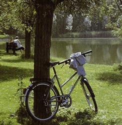 Camping Den Inkel