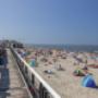 Noorzeekust: strand en duinen