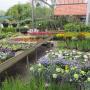 Groot assortiment tuinplanten.