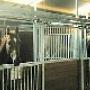 Paardenpension De Vallei