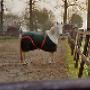 Paardenpension De Vallei
