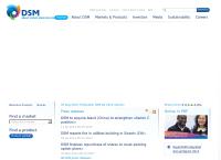 Website van DSM Assurantie Kantoor 