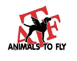 Animals To Fly / Dtc Bv