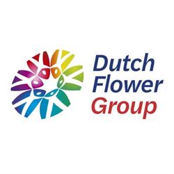 Dutch Flower Group B.v.
