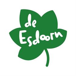 De Esdoorn Meubelmakerij