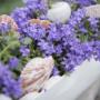 Tuincentrum Frank Meester