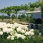 Tuincentrum Frank Meester