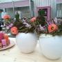 Tuincentrum Frank Meester