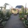 Tuincentrum Frank Meester
