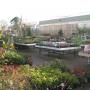 Tuincentrum Frank Meester
