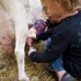 Ridammerhoeve Geitenboerderij