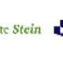 Gemeente Stein