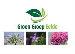 Groen Groep Eelde B.v.