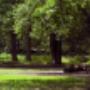 Groenendaal