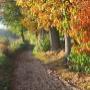 Camping Heksenlaak De