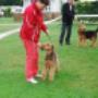 Camping Heksenlaak De