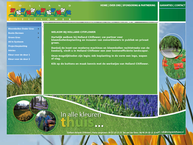 Holland Citiflower