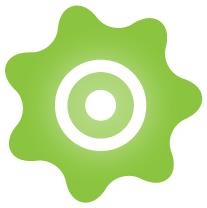IB-Vision