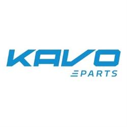 Kavo B.v.